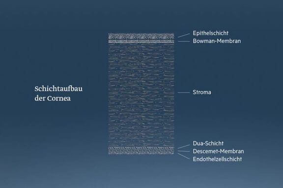 Schichtaufbau Cornea, Augenärzte Linz, Dirisamer Luft Priglinger